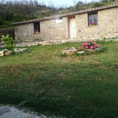Il Cerro Agriturismo Zagarese Fuscaldo Exterior photo