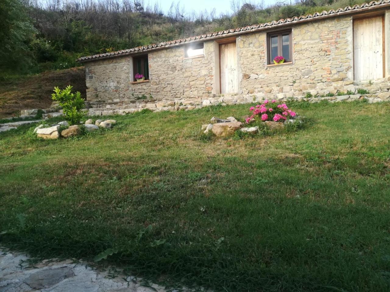 Il Cerro Agriturismo Zagarese Fuscaldo Exterior photo